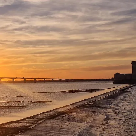 Apartment - Royan